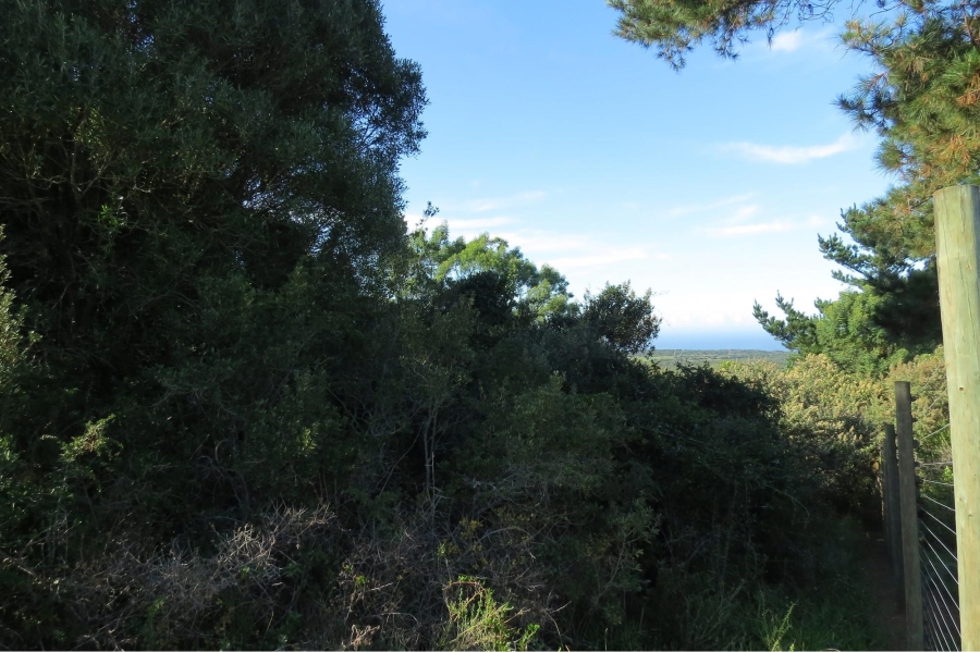 0 Bedroom Property for Sale in Chelsea Eastern Cape